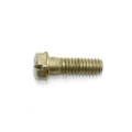 Screw
