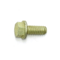 Screw