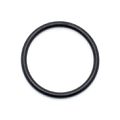 0309731 - O-Ring