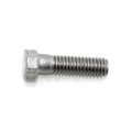 Lower Pivot Shaft Screw
