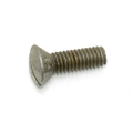 Screw