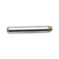 0310956 - Pin