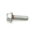 0311539 - Plate Screw