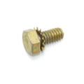 Screw