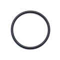 0314491 - O-Ring