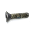 Screw