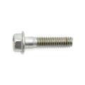 Screw