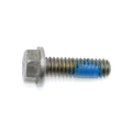 Screw