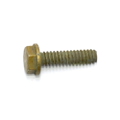 Screw