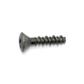 Latch Screw
