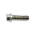Screw