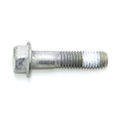 Screw