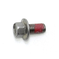 Screw
