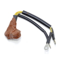 Diode & Lead Assembly