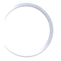 3852869 - RING,SHIM-.102
