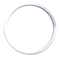 3852872 - Shim Ring
