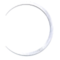 3852873 - RING,SHIM-.110