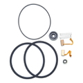 0390987 - Brush & Seal Kit