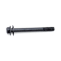 Screw (6X55mm)