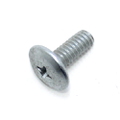 Screw