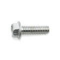 Screw