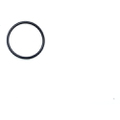 0910582 - Steering worm wheel O-Ring
