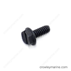 Screw