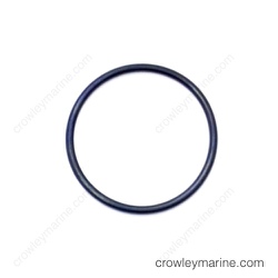 Oil Pump Assembly O-Ring
