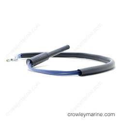 Imported image for 856156T02-856156T02