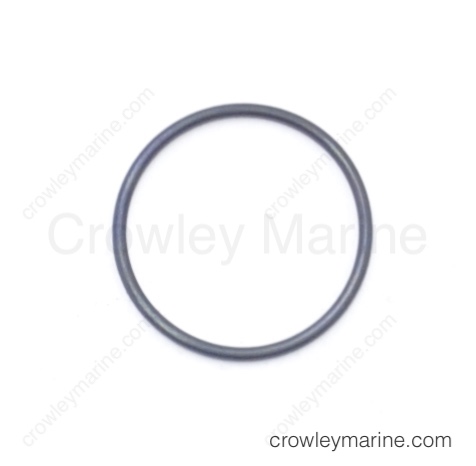Oil Pump Assembly O-Ring