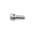 Screw