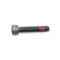Screw