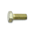 Screw
