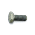 Screw