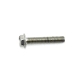Screw (M35 x 20) (Stainless Steel)