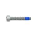 4013930 - Screw