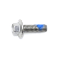 Screw