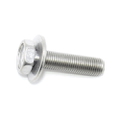 Screw