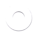 37807 - SHOCK CYLINDER SCREW WASHER