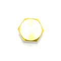 4541 - Plug Screw
