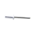 847820 - RIVET
