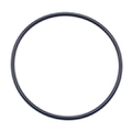 861844 - O-Ring