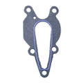 192043 - Water Pump Base Gasket