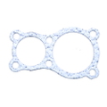 820490 - Fuel Pump Spacer Gasket