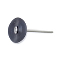 Diaphragm