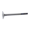 Intake Valve-