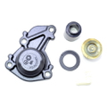 Thermostat Kit (55/60)