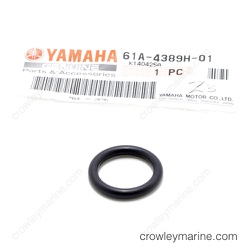 O-Ring thumbnail-1