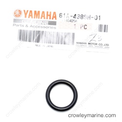 O-Ring