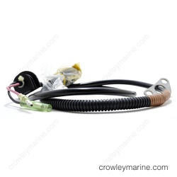 Thermo Switch Assembly thumbnail-1